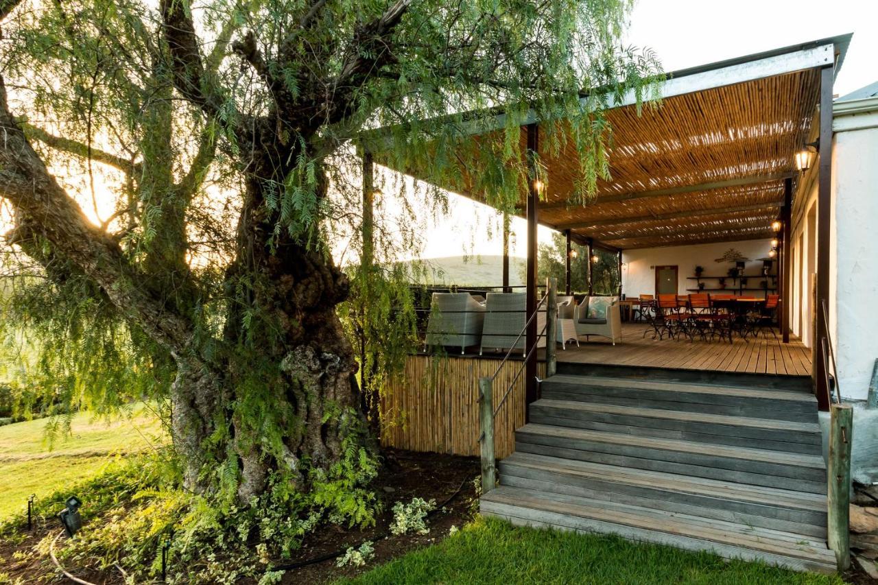 Swartberg Country Manor ξενώνας Matjiesrivier  Εξωτερικό φωτογραφία