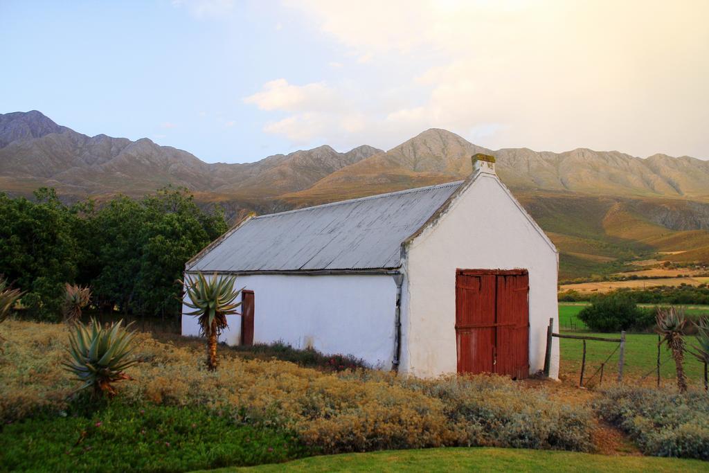 Swartberg Country Manor ξενώνας Matjiesrivier  Εξωτερικό φωτογραφία