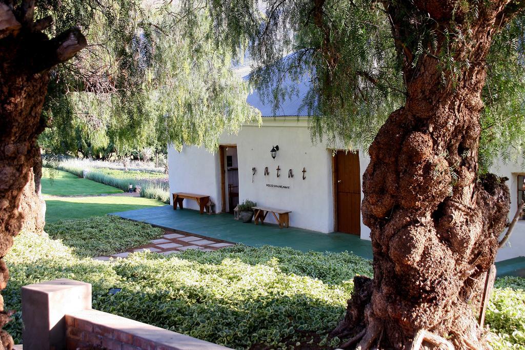 Swartberg Country Manor ξενώνας Matjiesrivier  Εξωτερικό φωτογραφία