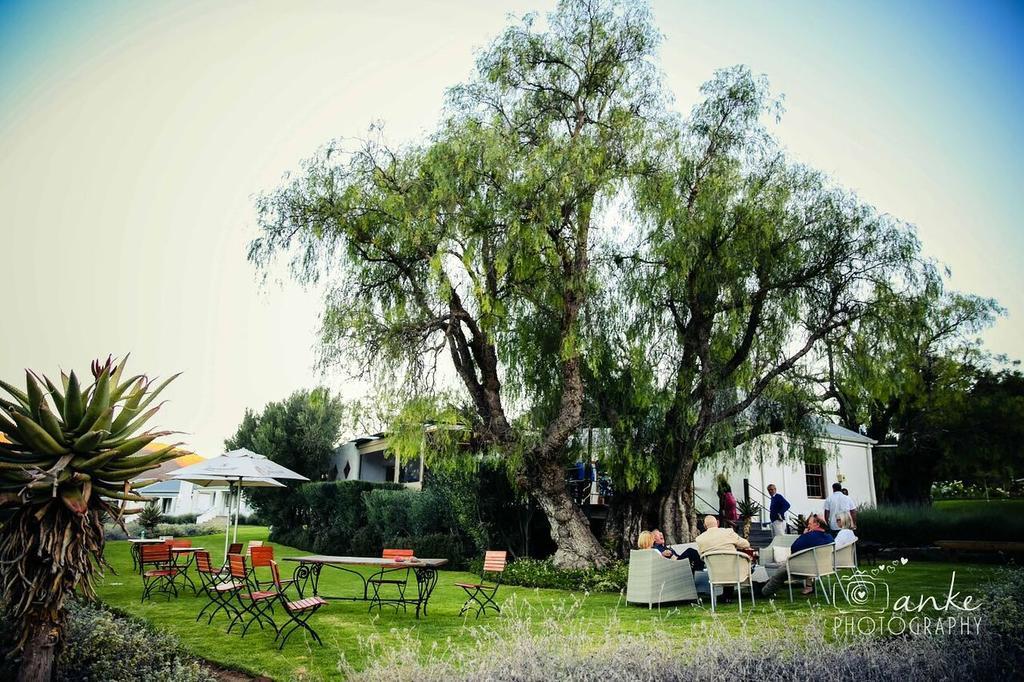 Swartberg Country Manor ξενώνας Matjiesrivier  Εξωτερικό φωτογραφία